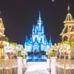 Affordable Weddings at Disneyland Florida