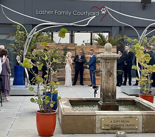 Wedding Officiant Near Me