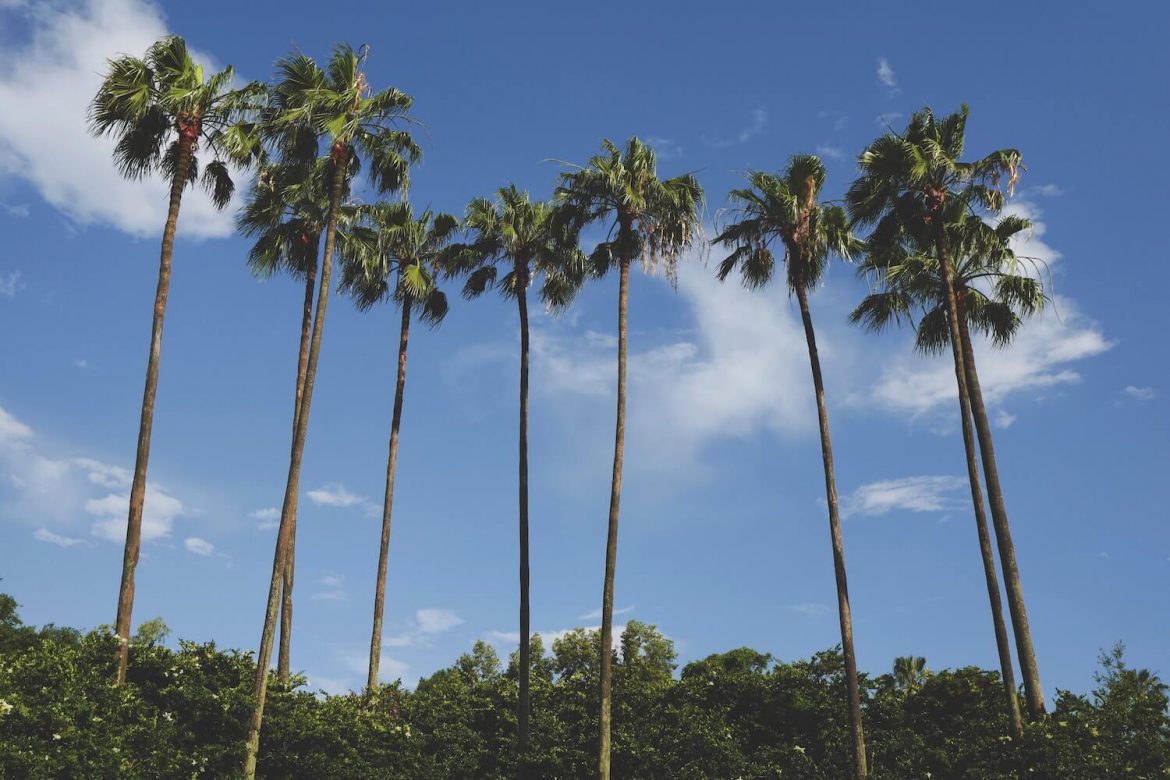 Outdoor Orlando Wedding Day