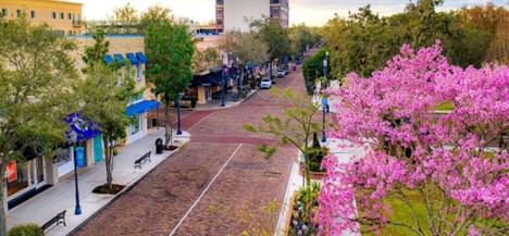 Wedding Officiants in Winter Park